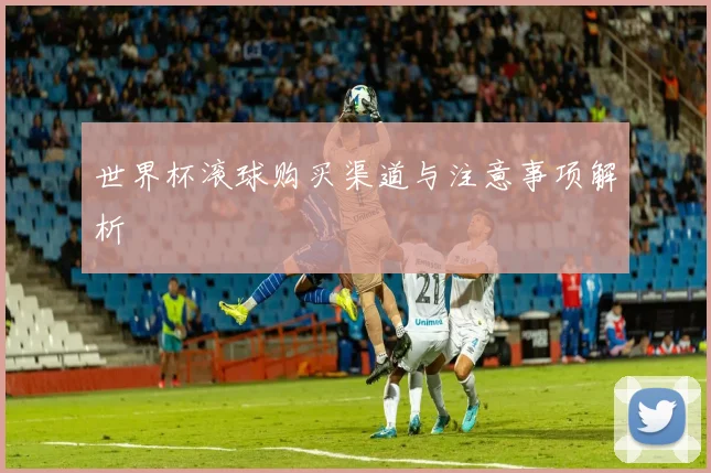 世界杯滚球购买渠道与注意事项解析