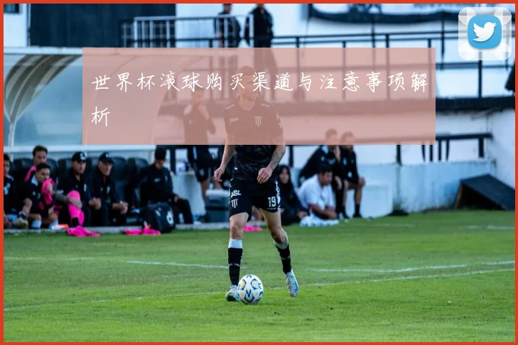 世界杯滚球购买渠道与注意事项解析
